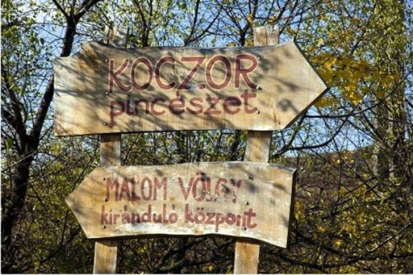Koczor Winery & Guesthouse Balatonfured Exterior photo