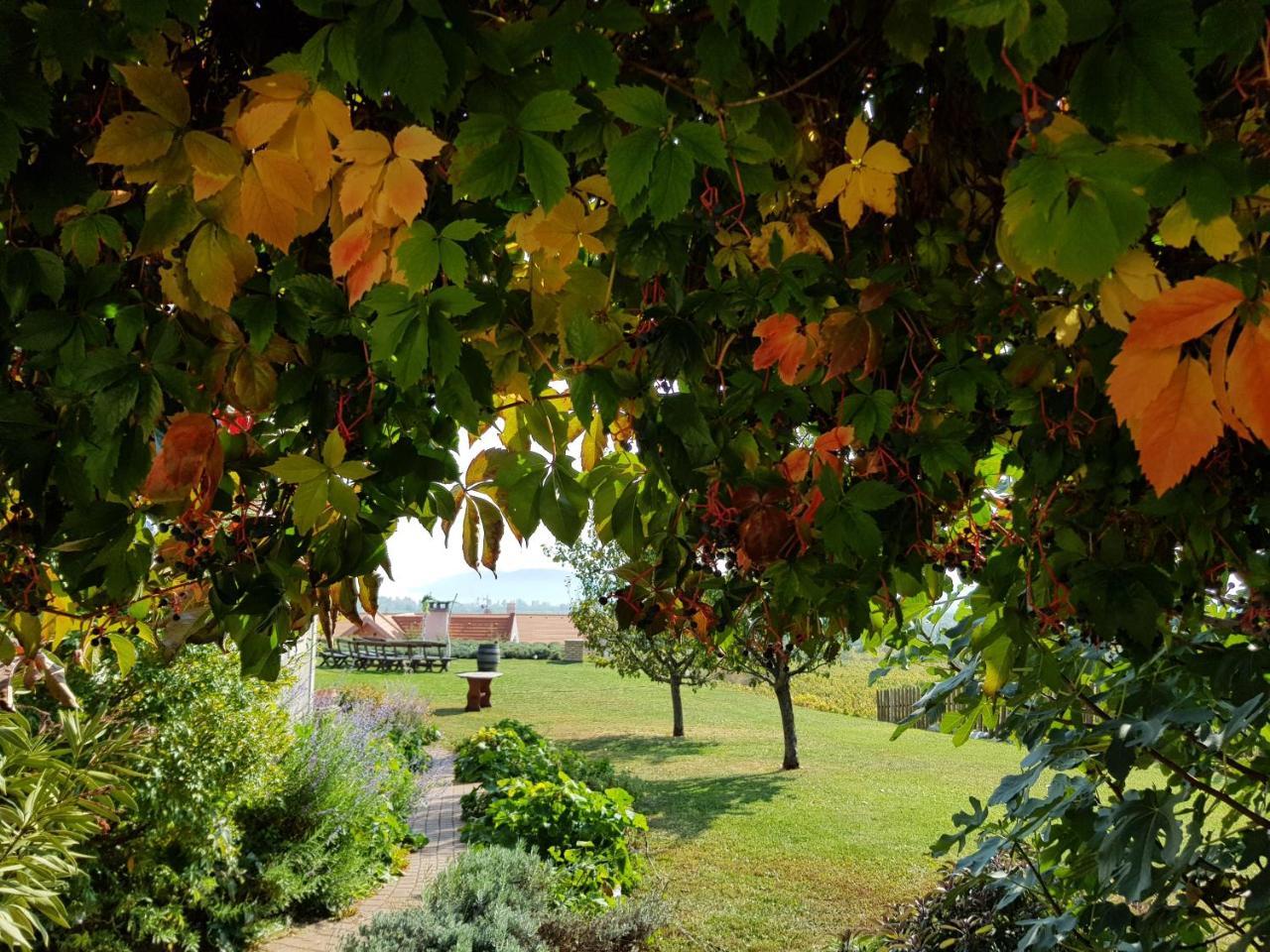 Koczor Winery & Guesthouse Balatonfured Exterior photo